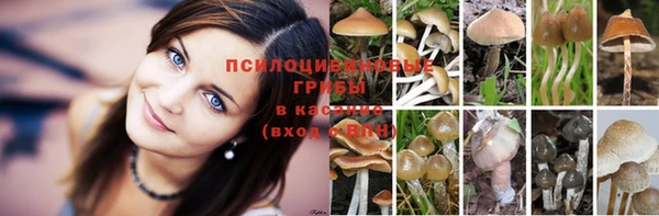 марки nbome Няндома