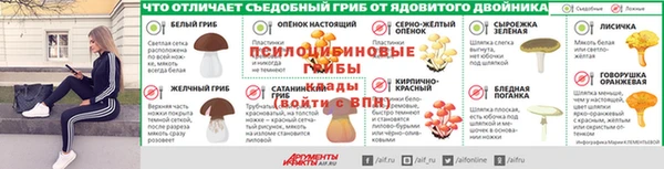 ГАЛЛЮЦИНОГЕННЫЕ ГРИБЫ Нягань