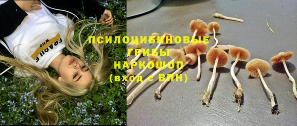 марки nbome Няндома