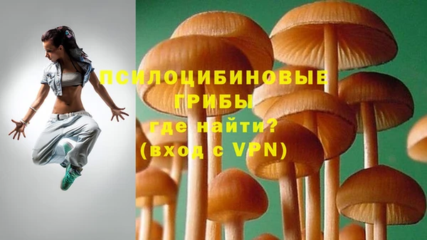 прущие грибы Осинники