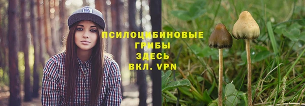 ГАЛЛЮЦИНОГЕННЫЕ ГРИБЫ Нягань