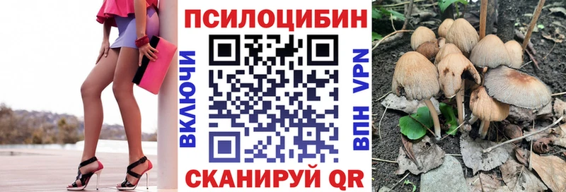 Купить  Саратов  Галлюциногенные грибы мухоморы 